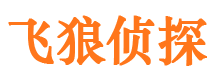 望都市私家侦探